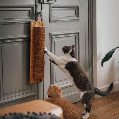 Wall-Mounted Cat Scratcher, Half-Moon Design with Natural Coconut Fiber – Space-Saving Cat Scratching Board | PETCO GLOBAL