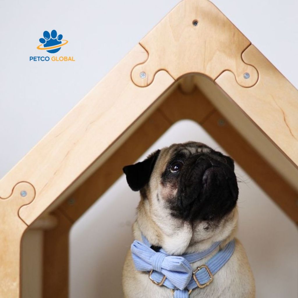 Premium Modular Wooden Cat House & Dog House - Secure Design by PETCO GLOBAL | Assembled Pet Bed