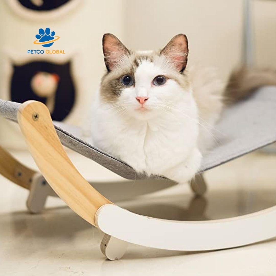 Wall-Mounted Cat Bed Hammock, Premium Natural Wood Pet Hanging Bed with Removable Canvas Fabric for Cats and Small Dogs