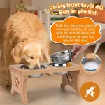 3 kích cỡ bát ăn nâng cao Petco Global: size M, L, XL cho chó mèo