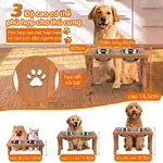 Bát ăn Petco Global bảo vệ cột sống cổ, giảm nôn trớ cho chó