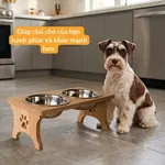 Chân đế chống trượt tuyệt đối của bát ăn Petco Global, bữa ăn yên tĩnh