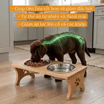 Bát ăn đôi Petco Global cho cả chó và mèo, nhiều giống thú cưng tin dùng