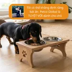 Chó Schnauzer đứng cạnh bát ăn nâng cao Petco Global trong bếp